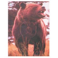 Tierscheibenauflage Bär