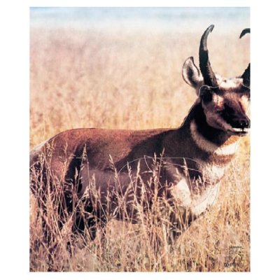 Tierscheibenauflage Antilope