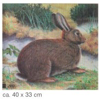 Tierscheibenauflage JVD Kaninchen